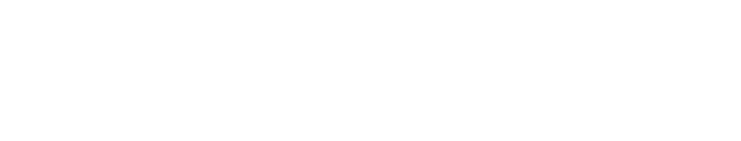 WealthWise — Investment Website
